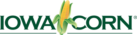 Iowa Corn